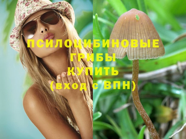 эйфоретик Балахна