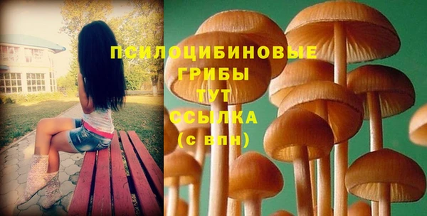 мет Арсеньев