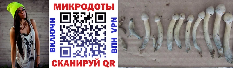 Галлюциногенные грибы Cubensis  закладка  Афипский 
