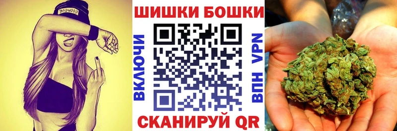 Бошки Шишки сатива Афипский